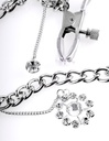 Crystal Nipple Clamps - Fetish Fantasy Series - Pipedream