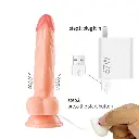 QSSS-001_6.webp