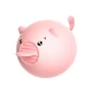 6970556034795_1.webp