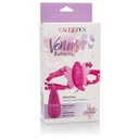 Original Venus Butterfly - Calexotics